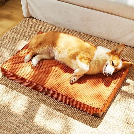 Panier pour Chien, Panier en Peluche Velours Côtelé avec Housse Lavable, Lit Imperméable, Mousse de Support, Tapis avec Fond Anti-Dérapant, Orange (1/5)