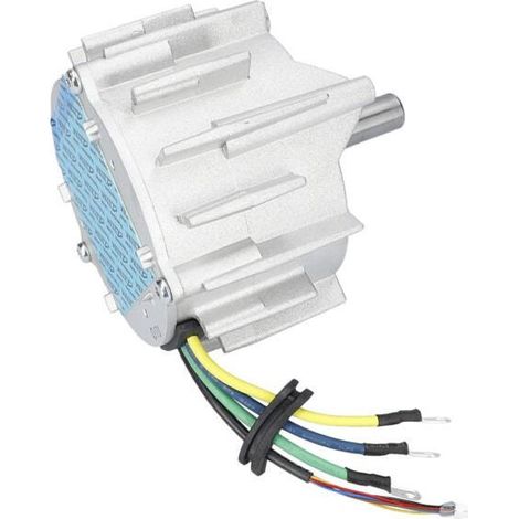 Moteur a courant continu pour Tondeuse a gazon BOSCH OUTILLAGES - 160702267Y