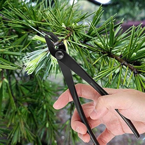 Pince A Jin Bonsai,Pince à Fil de bonsaï en Alliage d'acier au Manganèse avec extrémité Ronde pour Une Utilisation Sûre,Outil de Jardinage,Bonsai Pince à Jin (1/3)