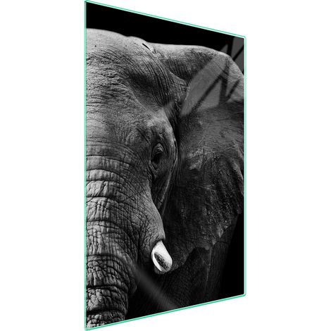 TAGLIERE IN VETRO 35x52 Elefante (1/5)