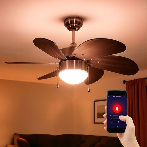 Smart LED Deckenventilator dimmbar Zugschalter Ventilator Vor und Rücklauf Deckenlampe, RGB Farbwechsel, Sprach-/App Steuerung Holz dunkelbraun, Titan, 5W 470lm warmweiß-kaltweiß, DxH 75x36 cm