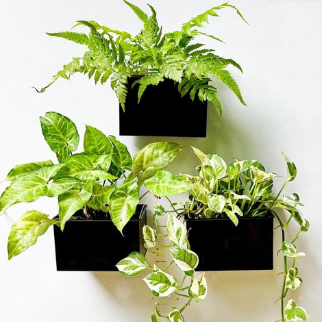 Lot de 3 Pots de Fleurs muraux rectangulaires en métal à Suspendre pour Plantes Grasses - 15,2 cm - pour clôture, Plantes aériennes - Étagère de Jardin Flottante pour terrasse d'intérieur (1/5)