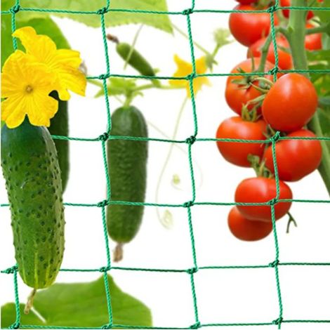 Filet de treillis pour plantes grimpantes, filet de jardin, filet pour concombres, tomates et autres plantes, filet de protection contre les oiseaux, tuteurs pour plantes grimpantes, filet pour plante