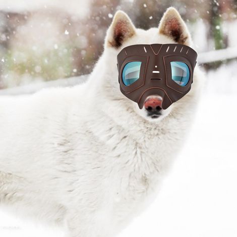 Hundemaske, blendfreie Sonnenbrille für Schnee, Outdoor-Hundezubehör (1/5)