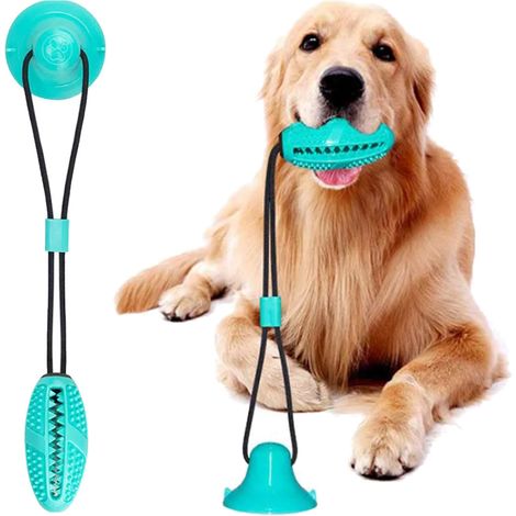 Jouet interactif pour chien avec ventouse et distributeur de friandises (1/5)