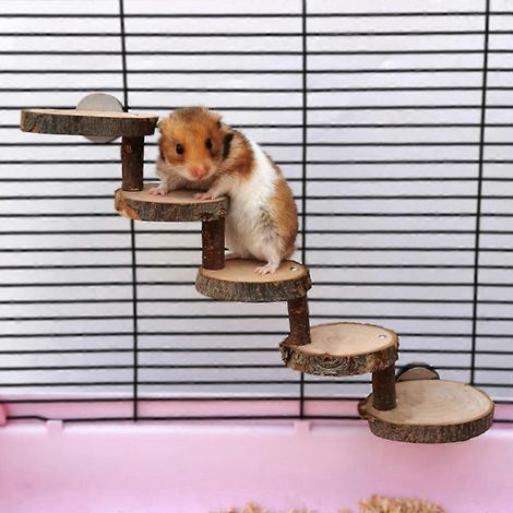 Jouets d'escalade chics pour hamsters, plateforme pour gerbilles, maisonnette pour furets (1/4)