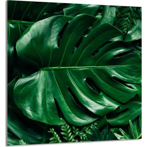 PANNELLO IN VETRO PER CUCINA 60x65 Monstera (1/5)