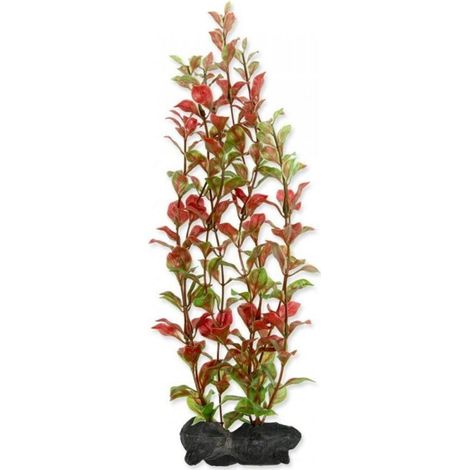 Tetra Pianta Decorativa in Plastica Modello Red Ludwigia (Ludwigia Repens) Misura L (1/2)