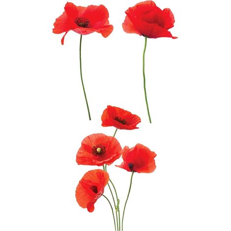 Autocollant pour vitres coquelicots (1/2)