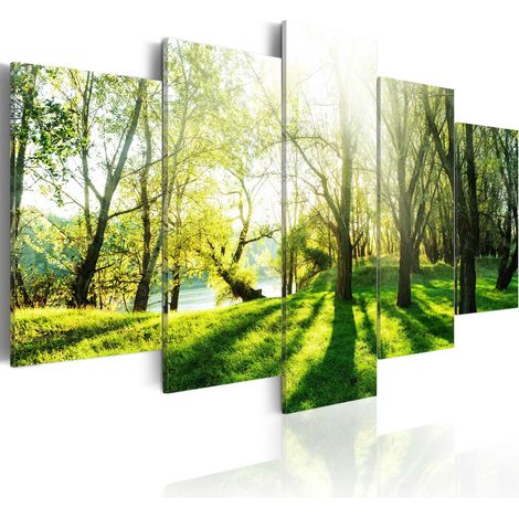 Quadro - La prateria verde - 200x100 (1/4)