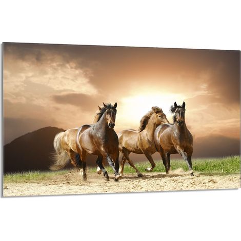 Glas-Herdplattenschutz 80x52 Pferde (1/5)