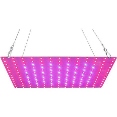 Lampe LED Horticole, Lampe Horticole 81LEDs Spectre Complet, Usine Élèvent la Lumière Lampe de Croissance pour la Croissance et Floraison Des Plantes en Intérieur Hydroponic (1/3)