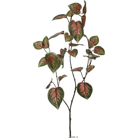Tige de coleus artificielle, H 94 cm, L26 cm Vert-rose