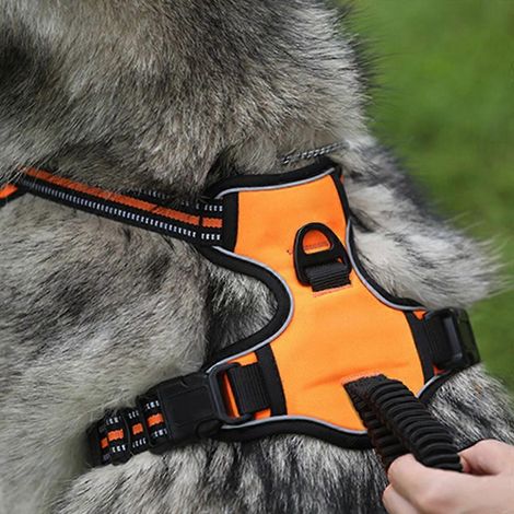 Harnais pour chien avec poignée de levage, sangle de poitrine réglable et facile à contrôler, laisse en corde, gilet réfléchissant pour chien - Taille M - Orange (1/4)
