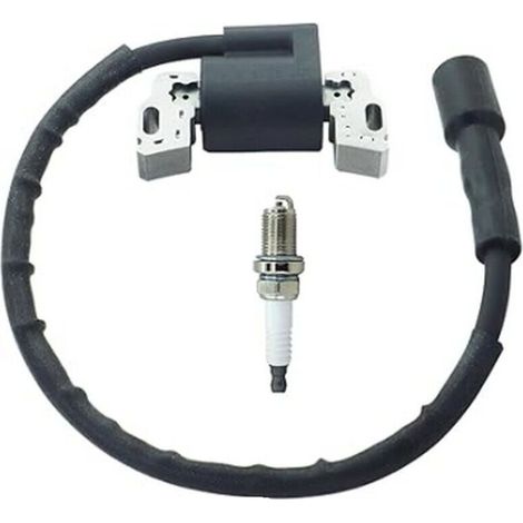Bobine d'allumage haute tension compatible avec 594626 594456 795315 592841 avec bougie d'allumage (1/4)