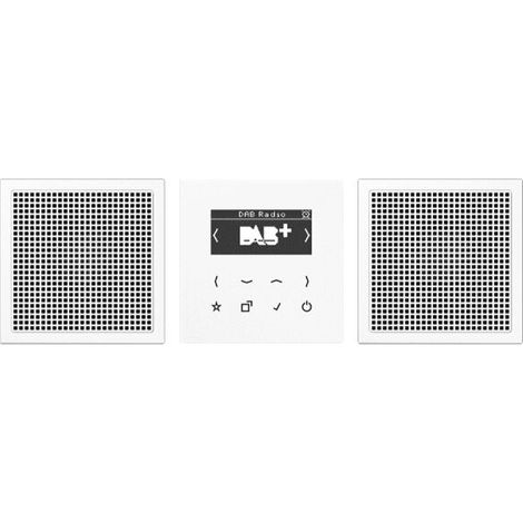 Jung Smart Radio DAB+, Set Stereo, Serie LS, alpinweiß DABLS2WW