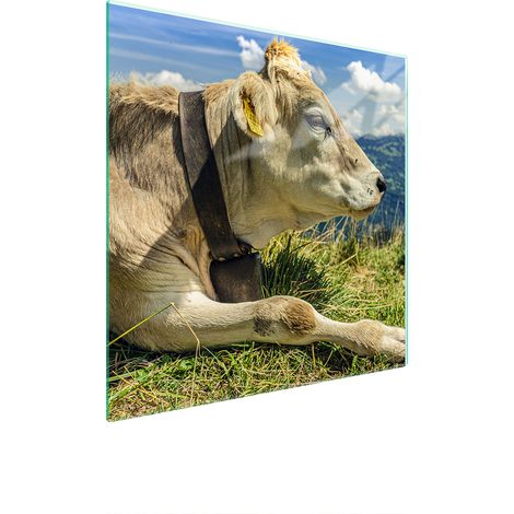 PLACA PROTECTORA DE VIDRIO PARA ESTUFA 50x52 VACA (1/5)