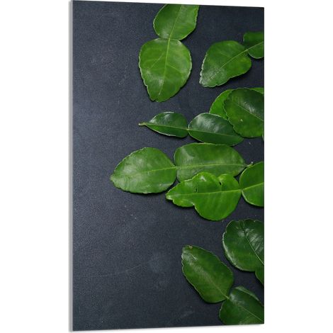 TAGLIERE IN VETRO 30x52 Ardesia (1/5)
