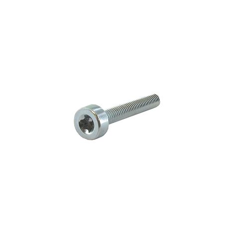 Vis Torx M5x30mm, anpassbar, Stihl für alle Modelle. Ersetzt Original 9022-341-1070.
