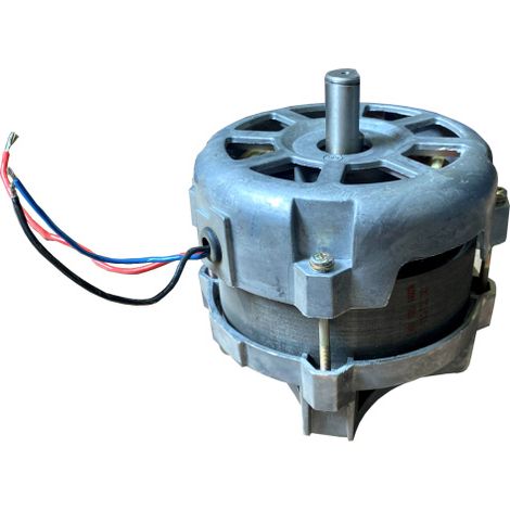 Ersatzmotor Elektromotor für Güde Rasenmäher uvm. (1/4)