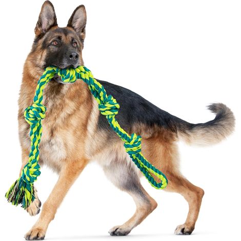 Jouets pour Chiens de Grande Taille et masticateurs agressifs, Jouet pour Chien Indestructible et Durable, Corde à 5 nœuds, Corde à mâcher Robuste en Coton pour Chiens de Grande Race (1/5)