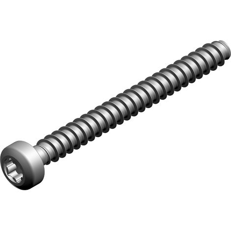 Pièce détachée BOSCH TTNR : 7736700683 Vis M 35 x 35 (2x)