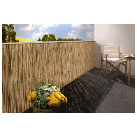 FP – Rouleau brise-vue en roseau 200 x 600 cm – Protection visuelle pour terrasses et balcons – Brins attachés avec fil galvanisé (1/2)
