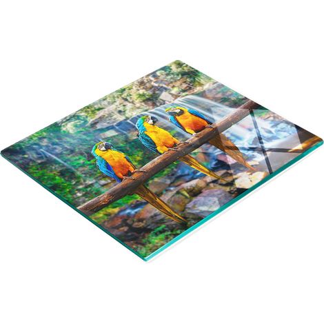 Tabla de cortar y servir decorativa de cristal con dise帽o de loro en una rama, 60x52 cm. (1/5)
