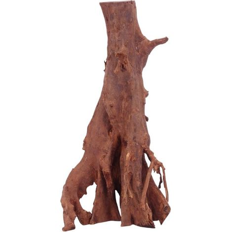 L Jungle Wood Wurzel Nr.4515 Holz Deko Aquascaping