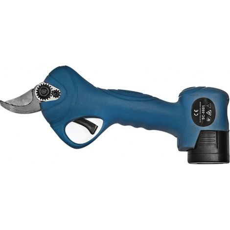 Hyundai 35507 Potatore 18 V con due batterie 2 Ah