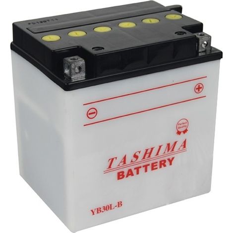 Batterie Plomb Tashima Renforcée 12v, 30a . L: 168, L: 132, H: 176mm, + à Droite Pour Motos, Quads, Utilitaire. (livrée Avec Aci