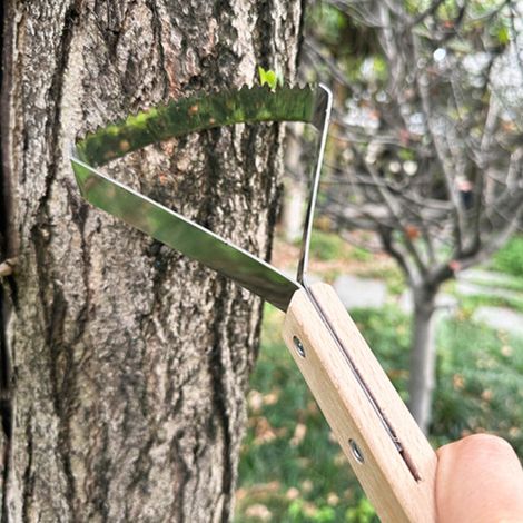 Houe manuelle robuste pour désherbage avec pointe pénétrante et fonction d'extraction des racines, Design triangulaire pour pelouse et jardin (1/4)