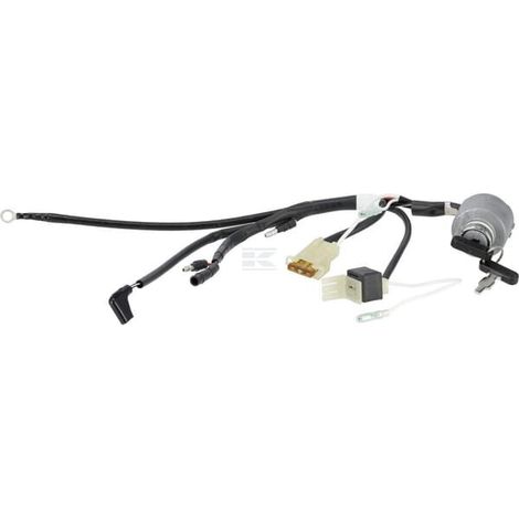 Gruppo interruttore combinato HONDA 35100Z5T811 (1/2)