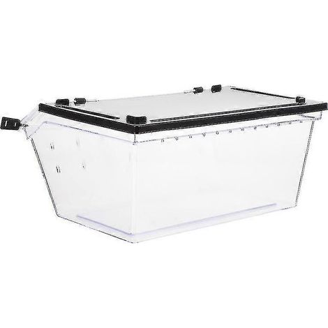 Une pièce fabriquée à partir d'une boîte à reptiles en plastique, d'un terrarium pour animaux grimpeurs et d'une boîte d'élevage d'araignées. (1/3)