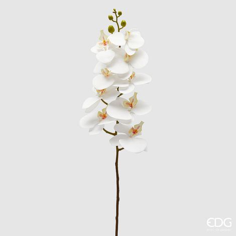 EDG Enzo De Gasperi Orchidea Phalaenopsis Ramo Artificiale H 94 Cm White