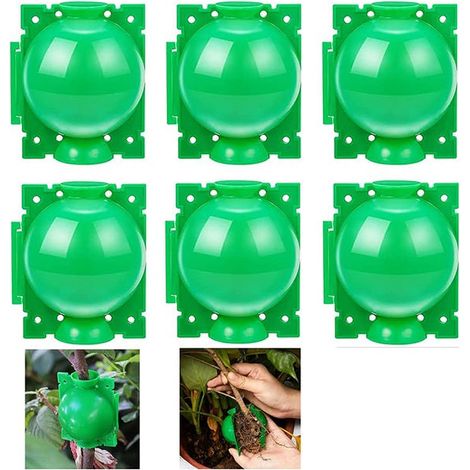 Kit de 6 dispositifs réutilisables pour l'enracinement des plantes – Accessoires de jardinage pour la propagation des boutures (Petit / Vert) (1/5)