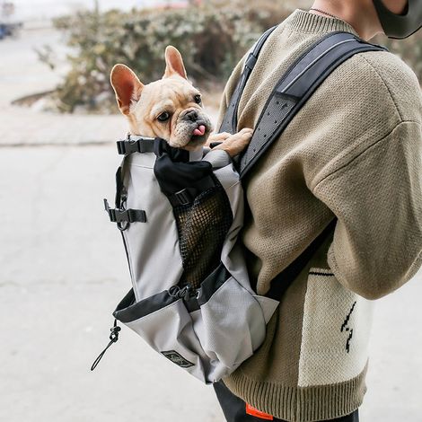 Sac à dos de randonnée respirant pour chiens et chats adapté aux grands animaux jusqu'à 16,5 kg Gris (1/5)