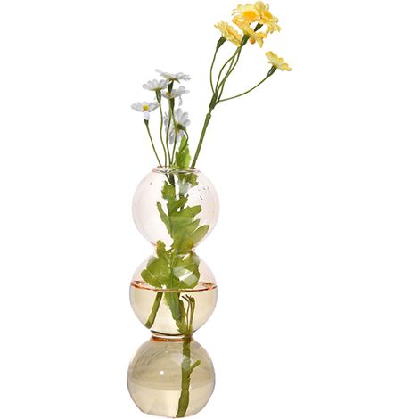 Vase Hydroponique - Vase En Verre Transparent Pour Plantes - Décoration Intérieure Bureau Salon Chambre - Lot De 1 (1/5)