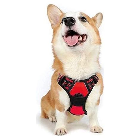 QORVA-Harnais Chien M Arnais Rouge Anti Traction Réfléchissant Gilet Réglable pour Chien, Attache Devant Crochet de Laisse pour Randonnée Trajet Voiture, Bouledogue Français, Berger Australien-Ensolei (1/5)