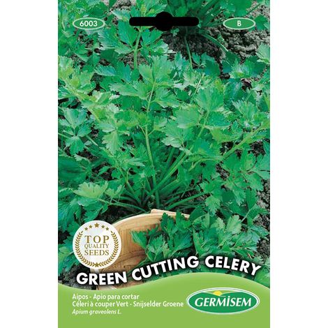 graines Céleri à couper Vert GREEN
