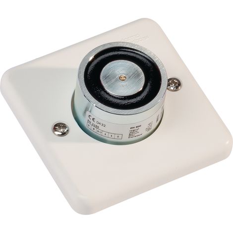 Elettromagnete da 500 G 24 Volt AC/DC per regolatore di chiusura bianco