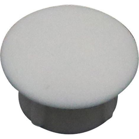 Bouchon Diamètre du corps 10 Diamètre de tête: 13 Longueur sous tête 6.7 Polyéthylène RAL7035 gris clair - 1 pièce (1/5)