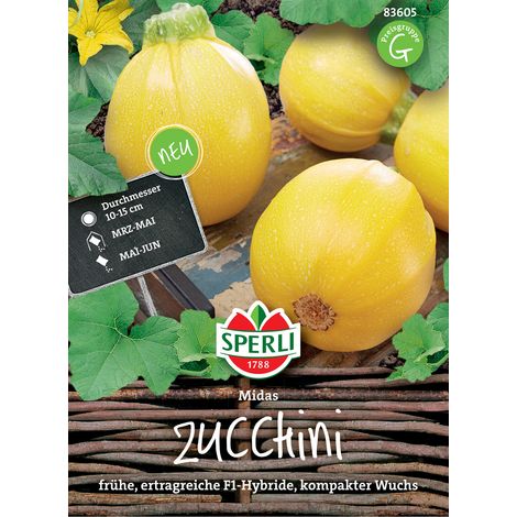 Sperli Zucchini Midas - Gemüsesamen (1/3)