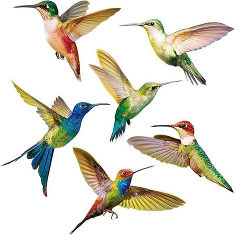 6 Pièces Autocollants Colibri,Accroche de Fenêtre d'Oiseau,Stickers Anti-Collision pour Vitres,Simplicité Modèle Colibri PVC Sticker Mural Oiseaux pour Fenêtre,Salon,Bureau (1/5)