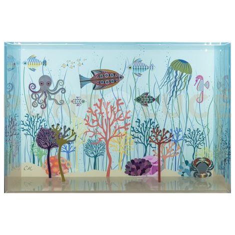 DORIDE BOX LUMINOSO IN 3D DISEGNO ACQUARIO IN CRISTALLO ACRILICO DECORATO