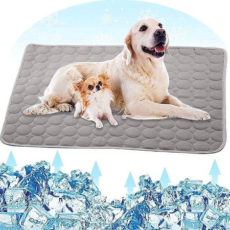 Tapis rafraîchissant d'été, tapis rafraîchissant pour chien, tapis auto-rafraîchissant, 70 x 55 cm
