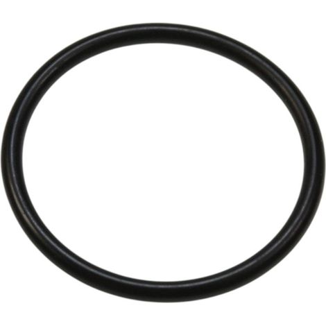 JOINT 21.95 X 1.78 pour NETTOYEUR HAUTE-PRESSION KARCHER -... (1/2)