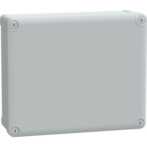 Boite industrielle 291x241x87 ABS - NSYTBS29248 (1/3)