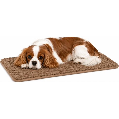 Panier Chien - Coussin Chien et Chat Orthopédique à Mémoire de Forme - Coussin Rectangulaire Beige - Convient aux Cages de Transport - 55,5x38,5 cm (1/5)