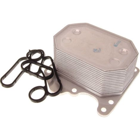 MAXGEAR 14-0069 Radiateur d'huile FORD TRANSIT 2132516